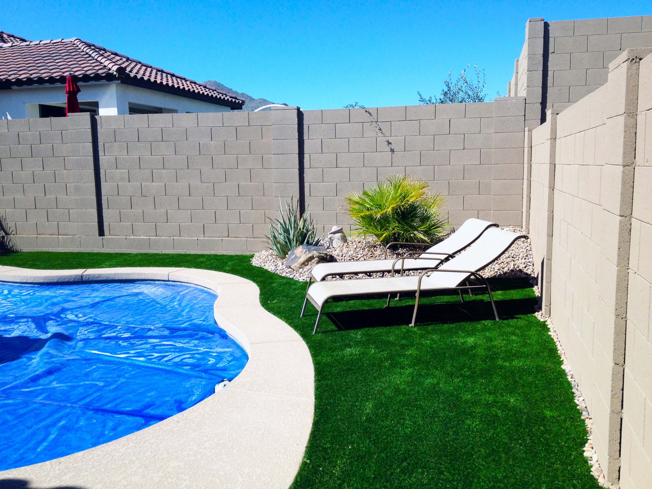 artificial grass back yard pool