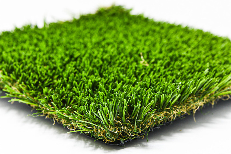 American dream turf performance blade grass