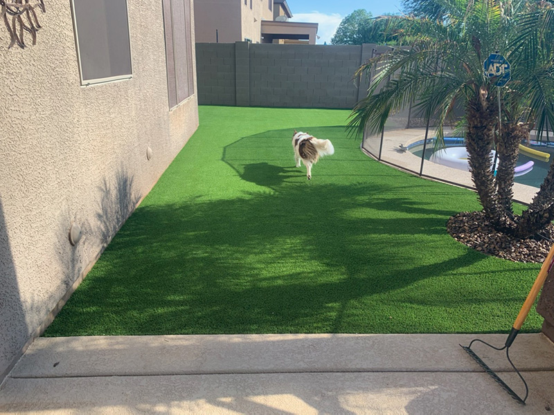 HOA approved synthetic turf for pets