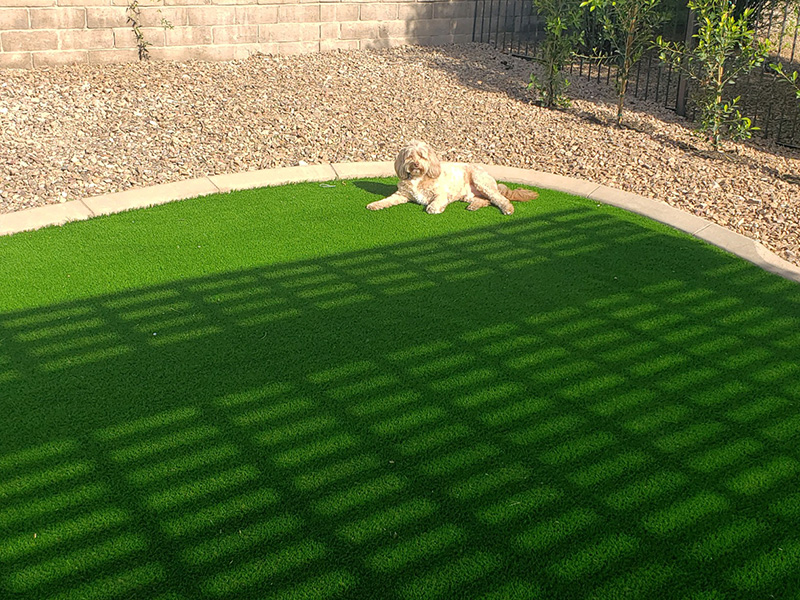 synthetic turf for large dogs