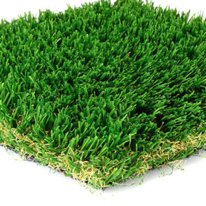 independence turf performance blade grass