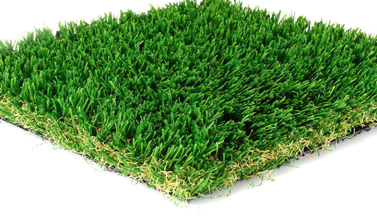 independence turf performance blade grass