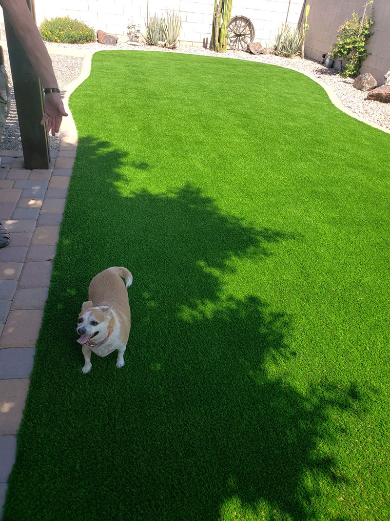 Pet Pro Artificial Grass Masters