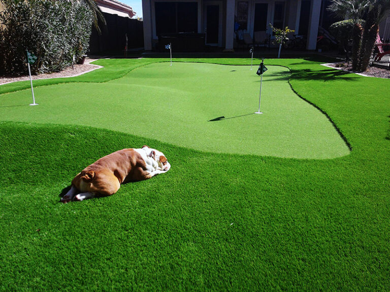 bull dog laying on artificial grass