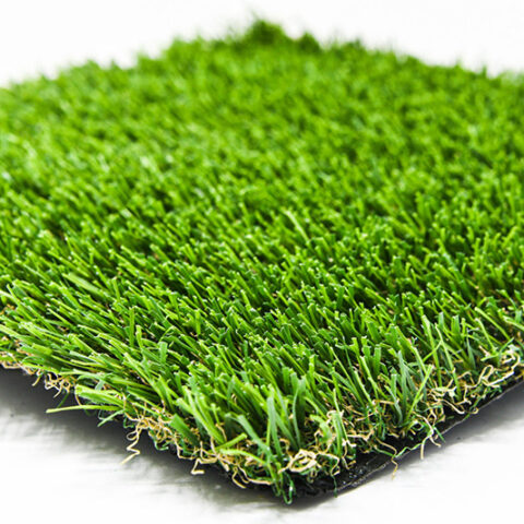 zacate Verde performance blade grass