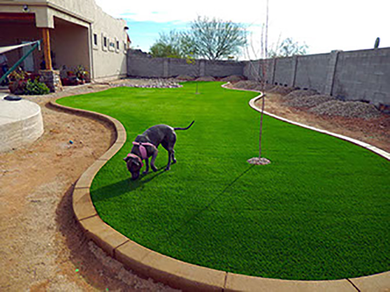 Avondale pet grass install