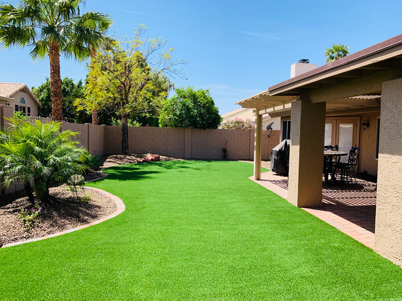 best type of grass for Arizona