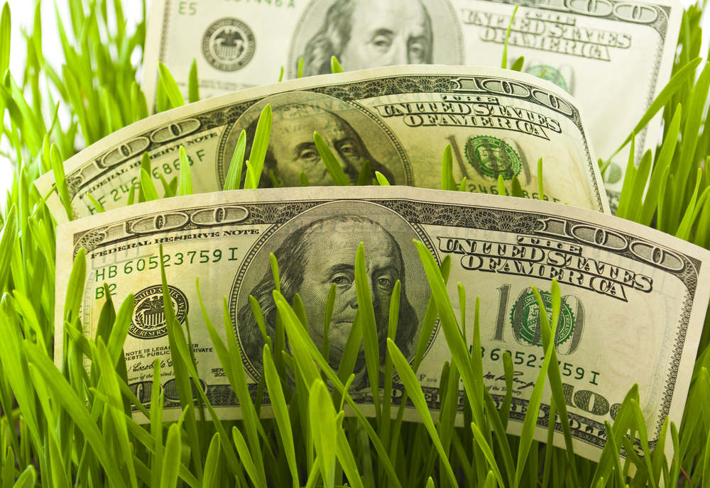 Rebates For Artificial Grass